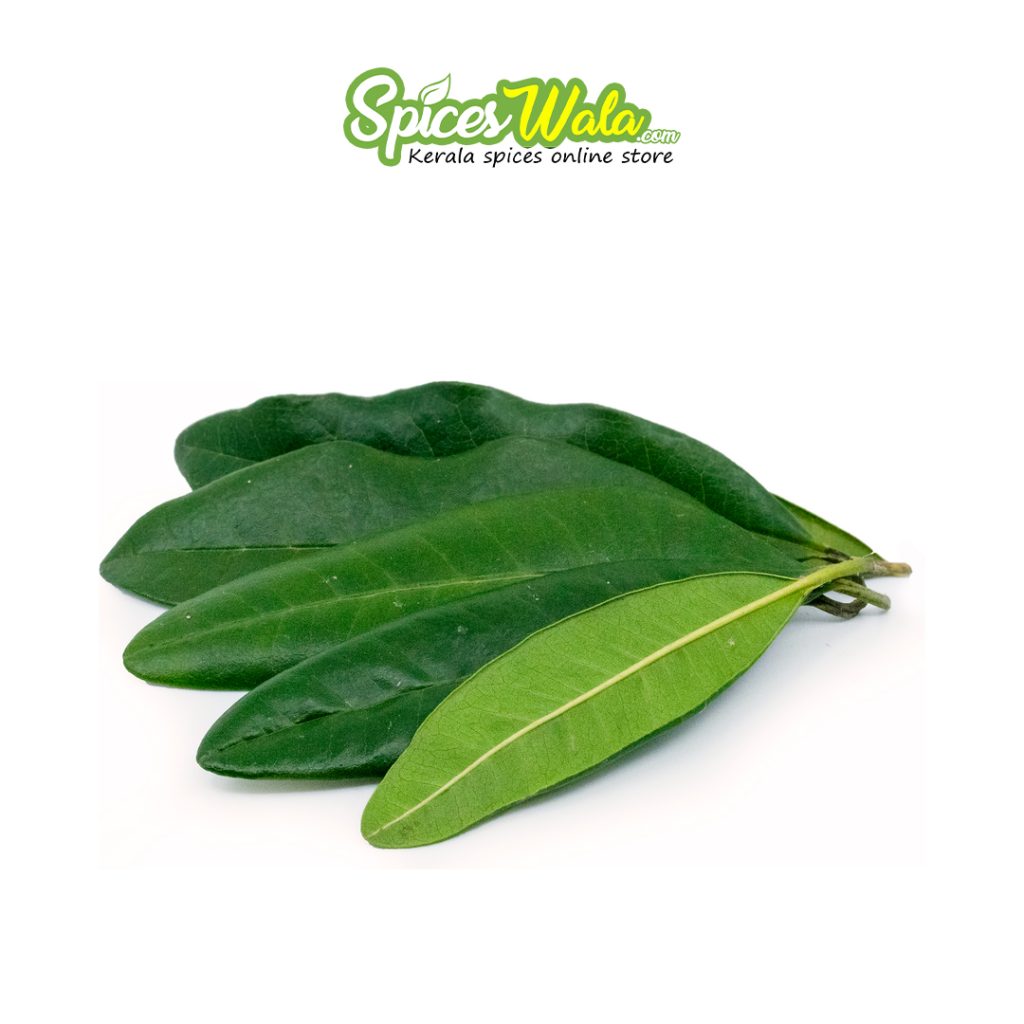 Allspice Leaves Spices Wala Kerala Spices Online